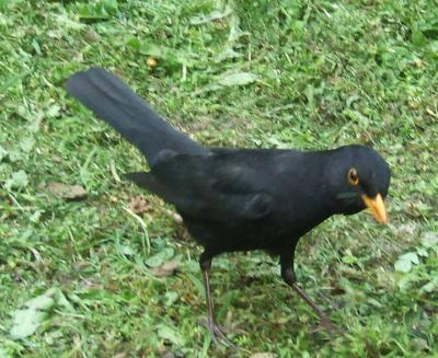 Прикрепленное изображение: 006.jpg